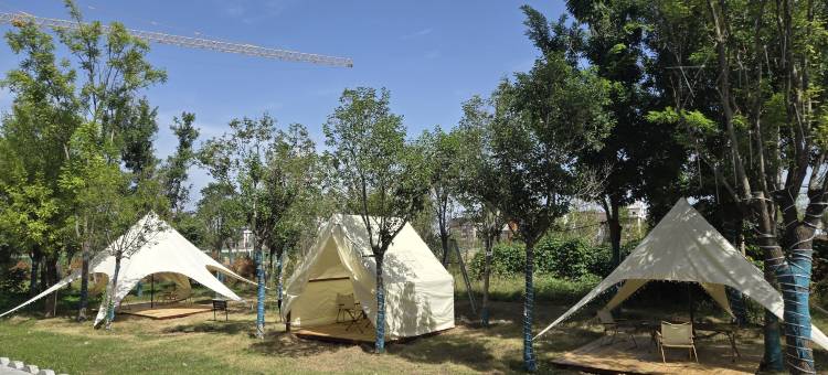 洛阳观唐酒店(洛阳博物馆店)图片