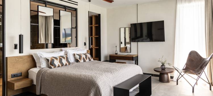 为成人设计的King Jason Zante(King Jason Zante – Designed for Adults)图片