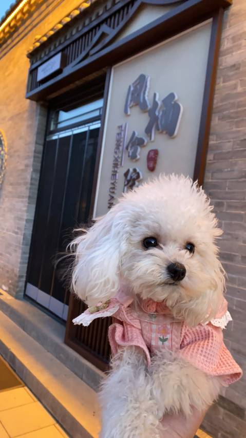凤栖合院(大同古城鼓楼店)图片