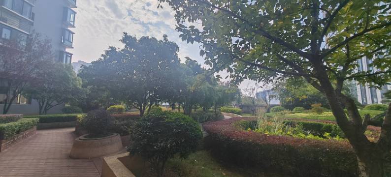 林枫青年旅舍图片