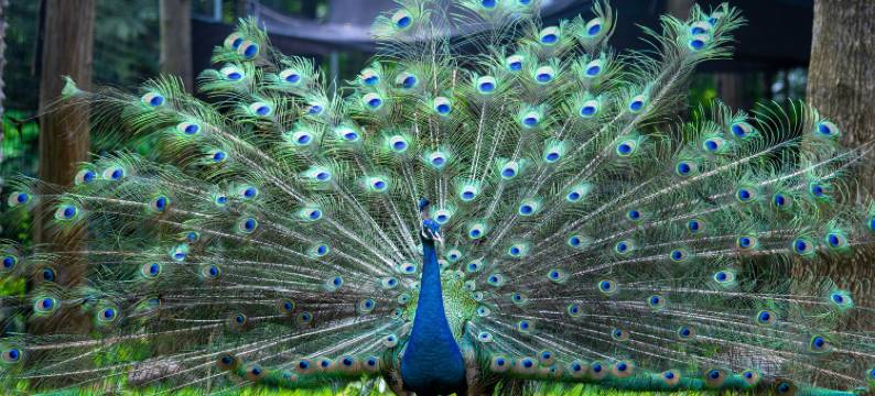 南宁五象山庄图片