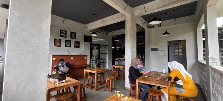 哈里斯集群(The Cluster Harris)图片