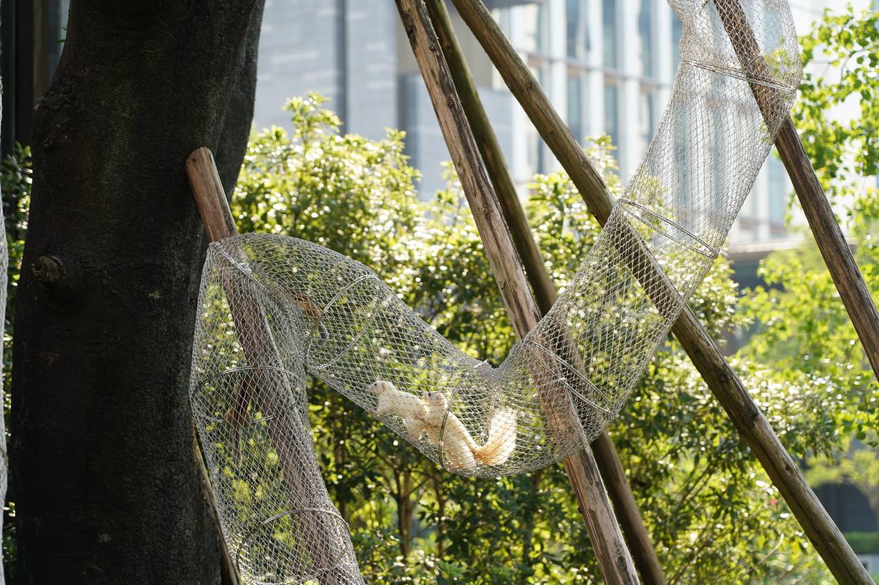 广州白云国际会议中心越秀福朋喜来登酒店图片