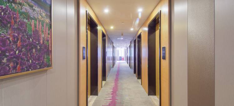 麗枫酒店(三亚椰梦长廊解放路步行街店)图片