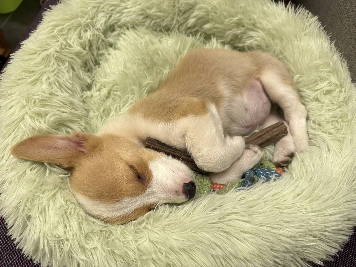 花筑·湖隐旅居假日别墅(云龙湖风景区店)图片