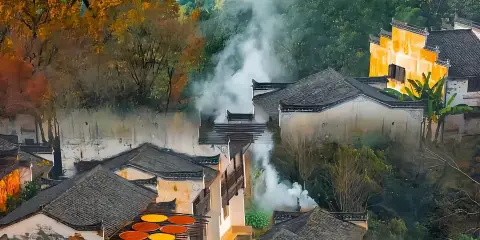 山舒閣·自然藝術美宿(婺源篁嶺景區梯田花海店)