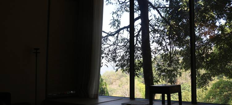 两棵树民宿(普洱景迈山古茶林景区店)图片