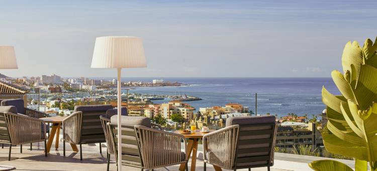 特内里费泰德公园美利亚酒店(Melia Jardines Del Teide)图片