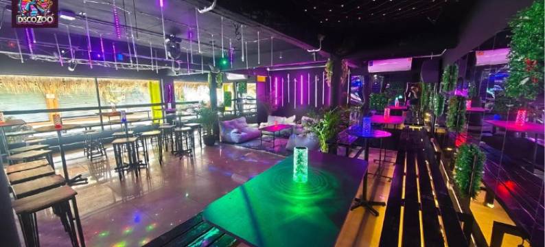 迪斯科动物园酒吧和旅馆(Discozoo BAR and HOSTEL)图片