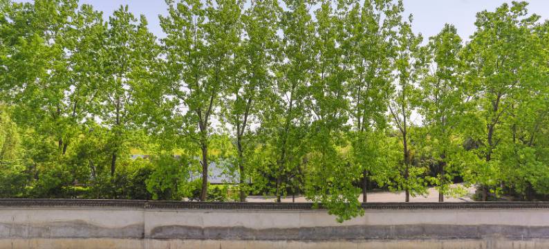 乌镇砚溪阁民宿图片