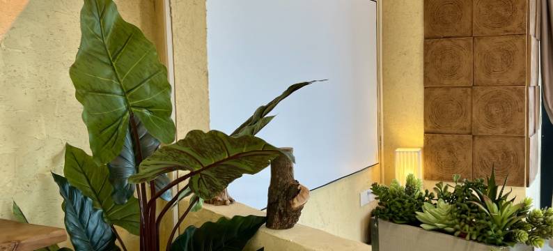 舍居民宿图片