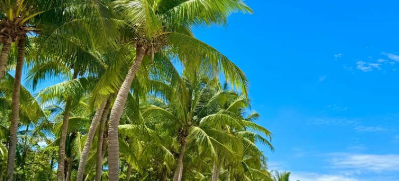 易宿国际青年旅舍(三亚步行街海景店)图片