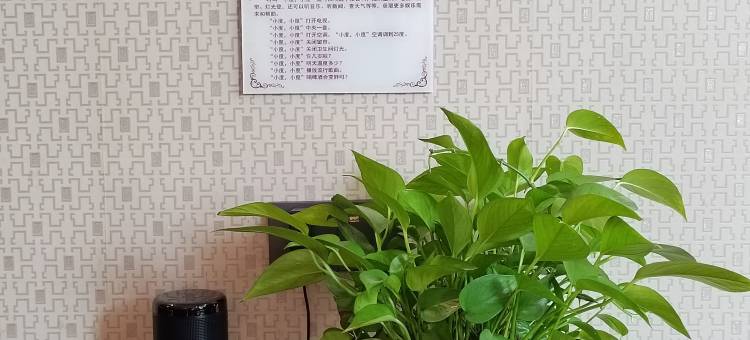 金秋庭院智能酒店(邵武汽车站店)图片