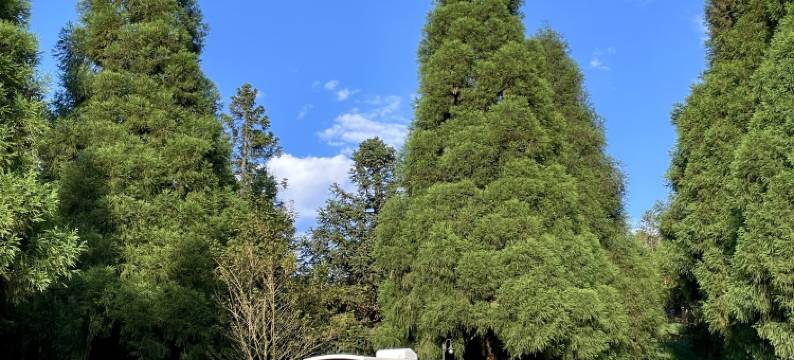 仙女山华邦酒店图片