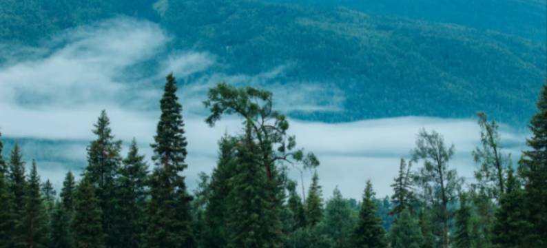 河畔·Garden设计师庭院度假民宿(禾木桥店)图片