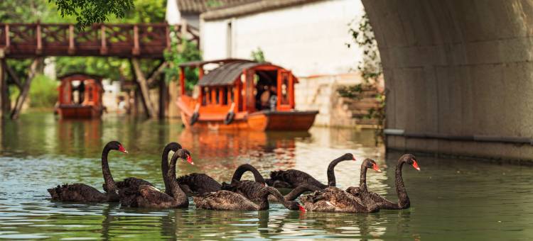 濮院时尚古镇梅尚度假酒店图片