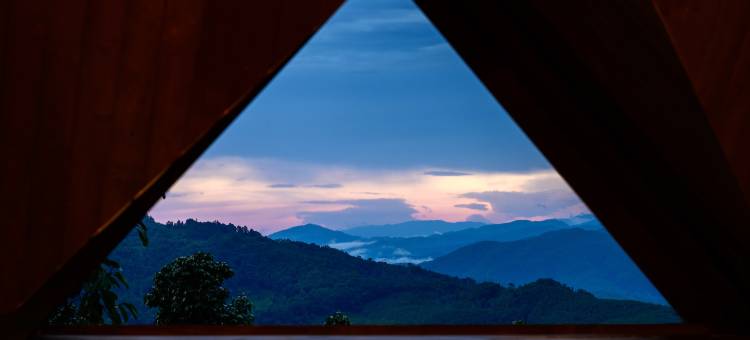 景迈山古茶林仙贡家院子观云海客栈图片