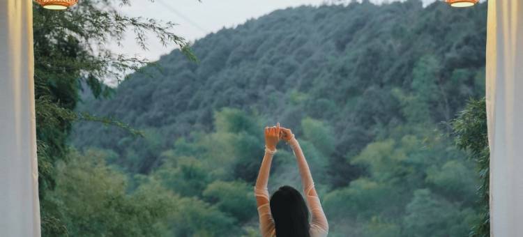 树下・艺术疗愈Healing・泳池・酒吧・雪山温泉・森林花园设计师美宿图片