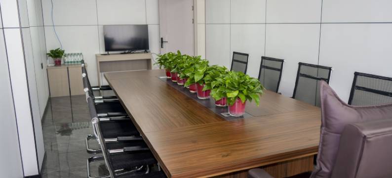 米林万宸酒店(索松村店)图片