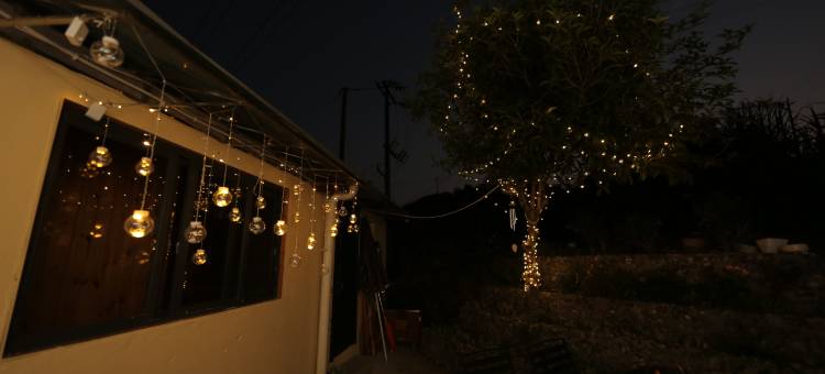 沁园春民宿图片