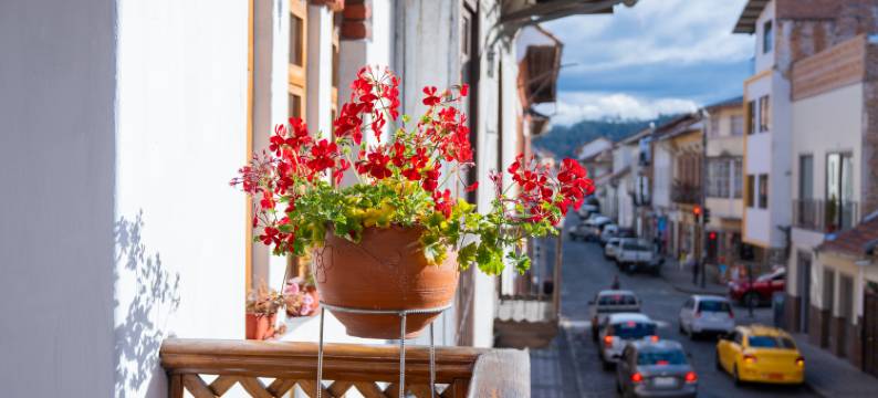 Casa Blanca Cuenca Boutique Hotel图片