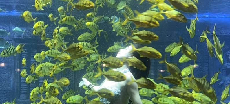 星汐海景酒店公寓(海底世界店)图片