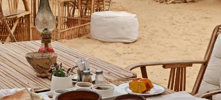 Tanirt Ecolodge Siwa Oasis图片