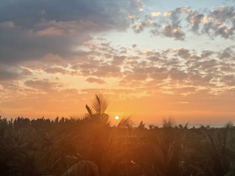 东方佳源东方索契酒店(金月湾高铁站店)图片