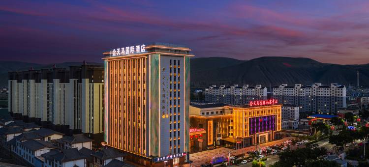 金天马国际酒店图片