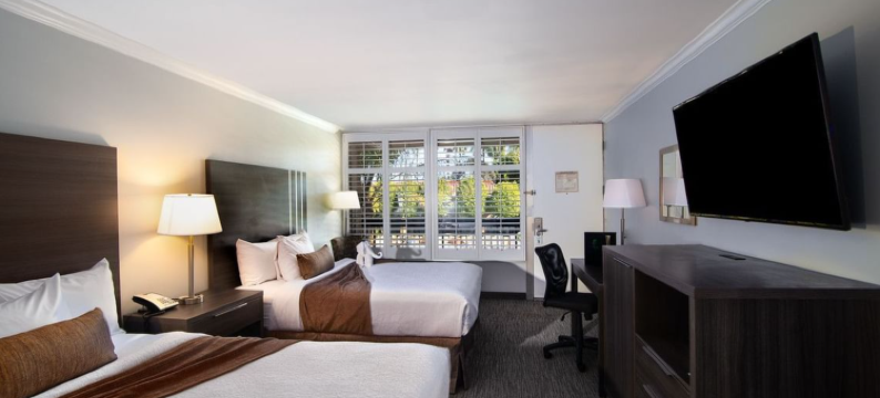 棕榈树花园酒店(Palm Garden Hotel)图片