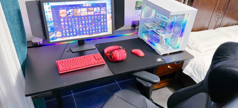 核柿商务电竞四合院(白洋淀高铁站店)图片