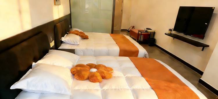 静禾Homestay|高阁临江(南昌滕王阁旅游区万寿宫地铁站店)图片