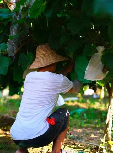 MUNI暮尼·东江湖度假民宿图片
