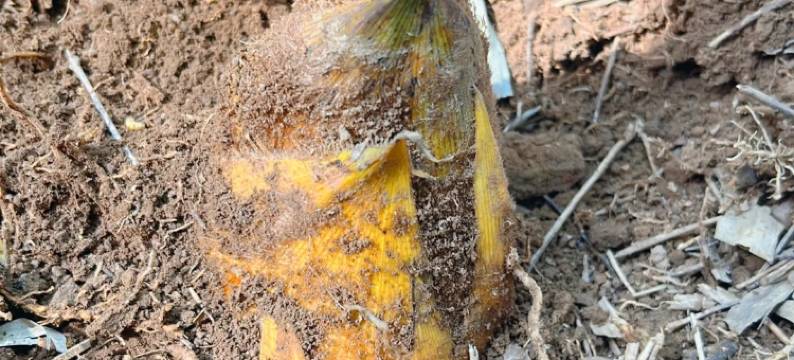 秋兮·aki星空温泉民宿(安吉云上草原店)图片