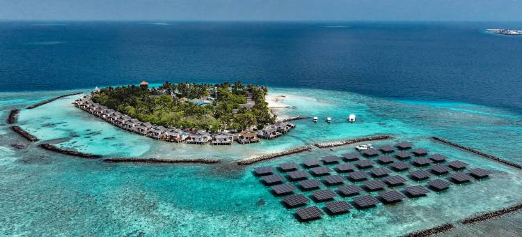 马尔代夫泰姬珊瑚礁水疗度假村(Taj Coral Reef Resort & Spa Maldives)图片