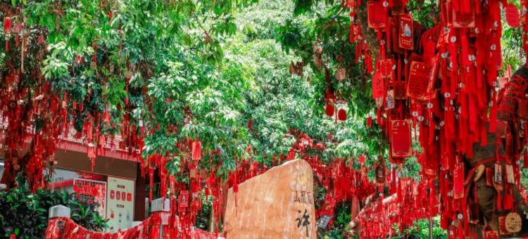 秋果X公寓(深圳宝安西乡地铁站店)图片