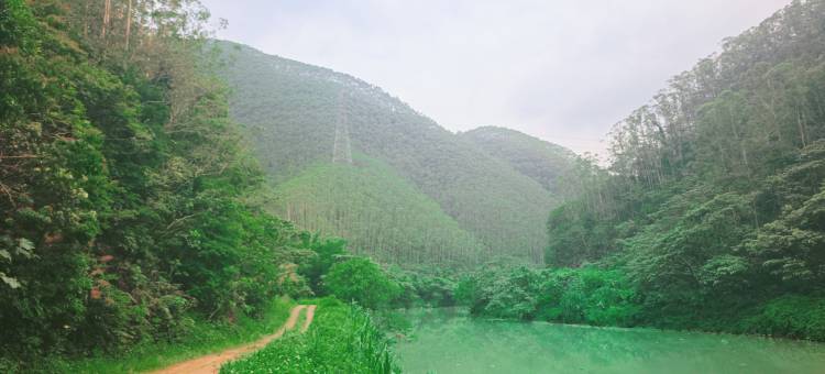 清远止林温泉度假民宿图片