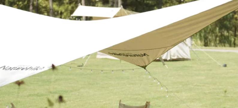 安吉九言鸟巢里酒店图片