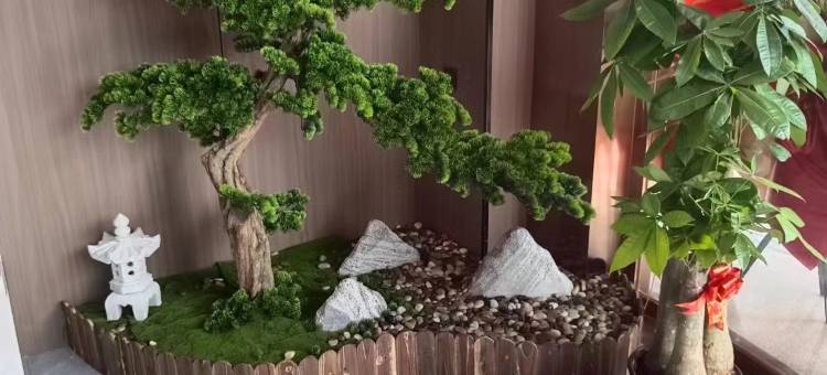 艾尚云美宿(峡山店)图片