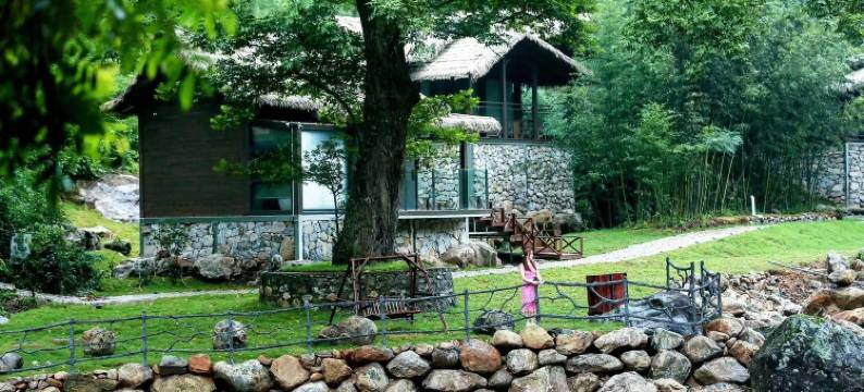 夏清金竹湾民宿图片