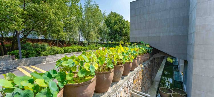 安康仓房楼荷塘月色酒店图片