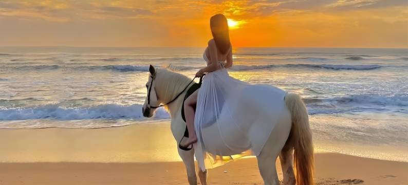 铂顿国际公寓酒店(陵水清水湾店)图片