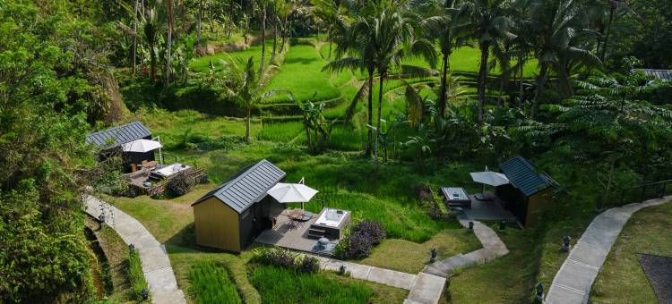 巴厘岛乌布博博卡宾酒店(Bobocabin Ubud, Bali)图片