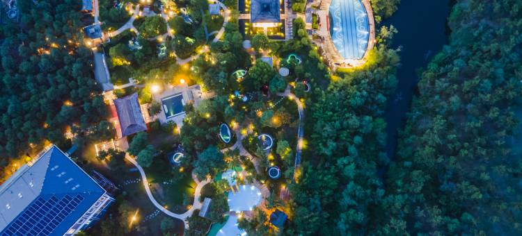 东海森林温泉度假酒店图片