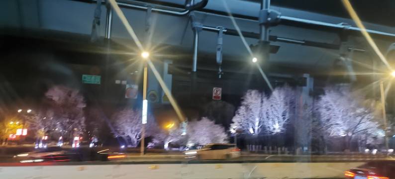 哈尔滨浪漫樱花假日公寓图片