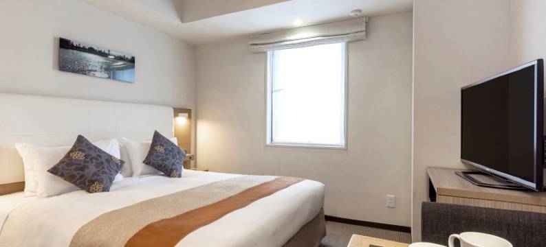 东京新桥东急STAY酒店(近银座商圈)(Tokyu Stay Shimbashi (Ginza area))图片