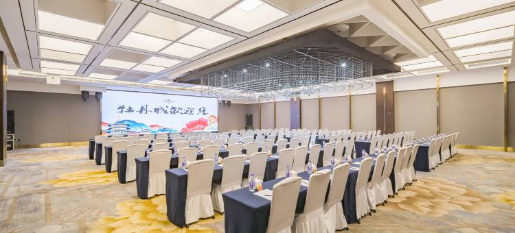 洛阳牡丹城宾馆(牡丹广场地铁站万达店)图片