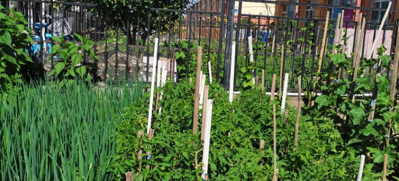 云喜火山民宿图片