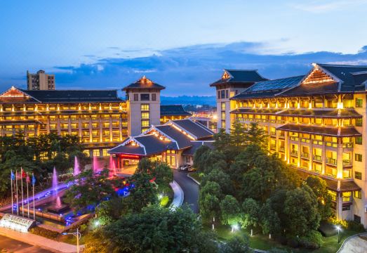 天成国际大酒店（百色田东湿地公园店）外景图