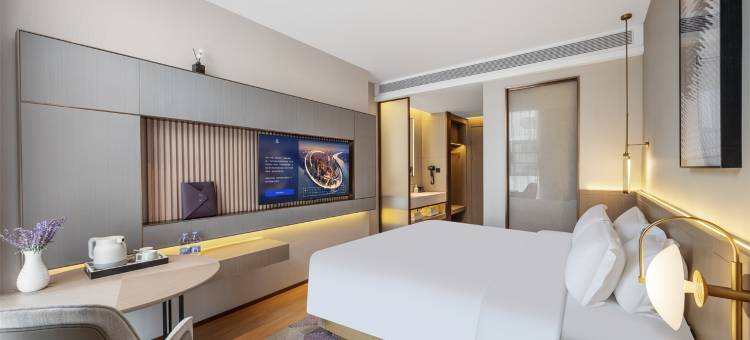 麗枫酒店(襄阳航空路民发商业广场店)图片